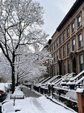 Snowy Brooklyn Brownstones, New York City