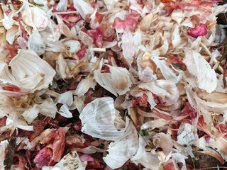 Close up, pile of garlic onion skins, onion skin texture background.
