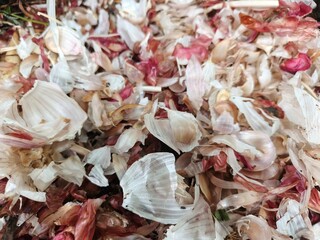 Close up, pile of garlic onion skins, onion skin texture background.