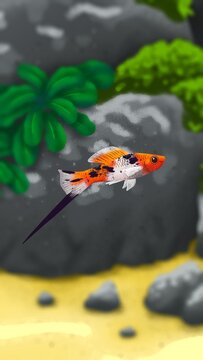 Wallpaper swordtail fish