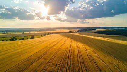 Aerial view of golden wheat field under a cloudy sky.