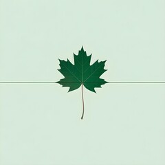 A single, green maple leaf placed precisely on a solid white background. A single, thin, black line is drawn digitally from the stem, extending infinitely. Minimalist, graphic design, conceptual.