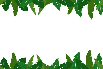 banana leaf background 