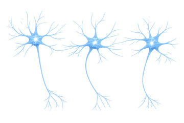 Three abstract glowing neurons illustrating biological brain activity and nerve impulses on a transparent background