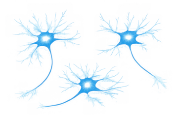 Active neurons forming neural network connections, transmitting brain cell signals, concept of neurological activity on transparent background