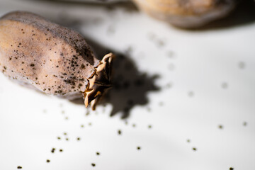 Dried Poppy Seed Pods on Light Background