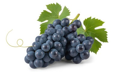 Fototapeta premium Cluster of Ripe Dark Blue Grapes with Green Vine Leaves on White Background for Wine and Food Design