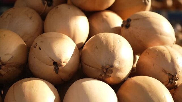 Pile of Coconuts Displayed with Brown Textured Shells and Creamy White Smooth Shells Under Natural Lighting Still Life