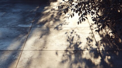 Shadows of plants on a tiled surface during golden hour in a quiet outdoor space
