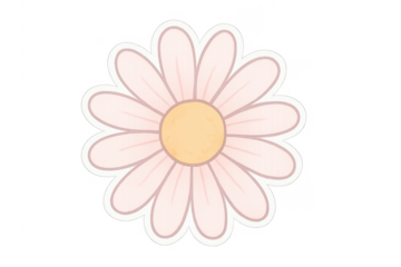 Pink daisy flower blooming transparent background illustration