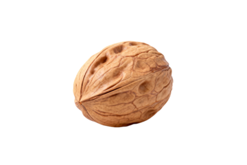 Single Walnut Nut Isolated on White Background