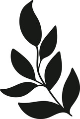 Rustic hand drawn leaves branch, minimalist botanical element for natural design