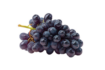Fototapeta premium Dark grape bunch, small berries, attached stem