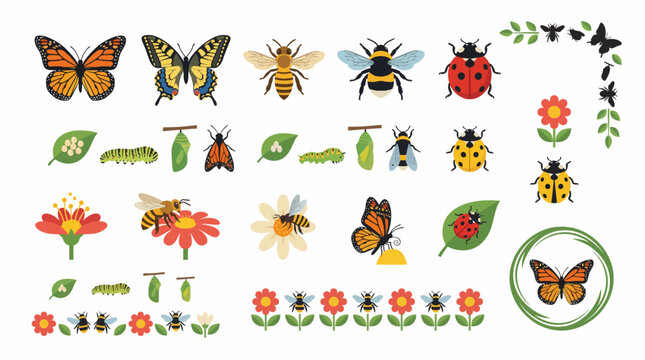 Colorful insect and flower illustrations set. Spring Vector Packs. EPS Editable
