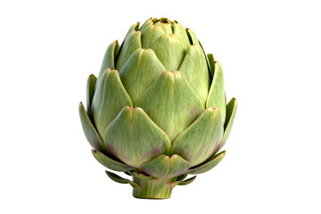 Obraz premium Fresh Green Artichoke on White Background