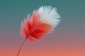 Feather floating in colorful sky gradient.