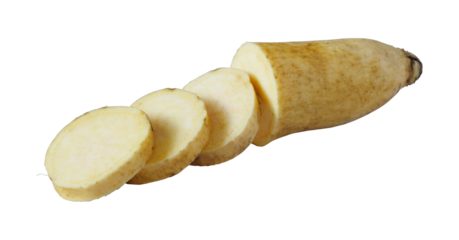 sweet potato root isolated