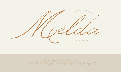 Mielda Classy Slanted Signature Script Font Alphabet Vector For Photography Logo