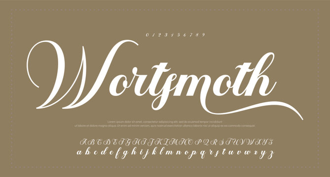 handwrite signature font Calligraphy Logotype Script Brush Font Type Font lettering handwritten 