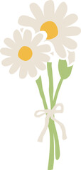デイジーの花束のイラスト　カモミールやハーブ系のシンプルな花のイメージ 透明背景