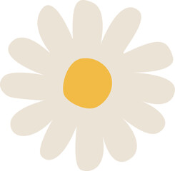 デイジーの花のイラスト　カモミールやハーブ系のシンプルな花のイメージ 透明背景