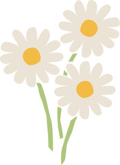 デイジーの花3本のイラスト　カモミールやハーブ系のシンプルな花のイメージ 透明背景