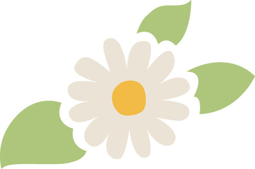 デイジーの花と葉のイラスト　カモミールやハーブ系のシンプルな花のイメージ 透明背景
