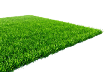 Vibrant Green Lawn with Natural Fresh Grass