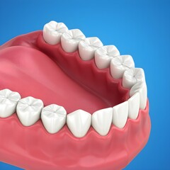 3D Render of Lower Jaw with Full Set of Teeth and Healthy Gum Tissue