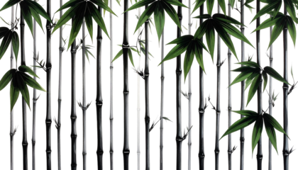 Green leaves atop dark bamboo stalks against a black reflective backdrop