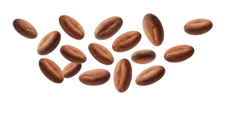 Multiple roasted cocoa beans, deep brown with intricate texture, falling mid-air against a transparent background with extensive copy space, soft shadow, Concept for premium food advertising