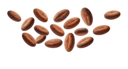 Multiple roasted cocoa beans, deep brown with intricate texture, falling mid-air against a transparent background with extensive copy space, soft shadow, Concept for premium food advertising