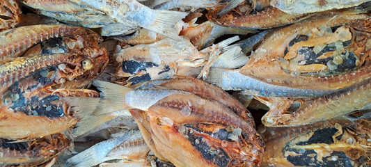Close up of Dried fish for sale in market.	