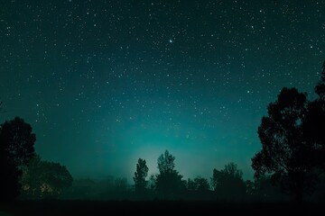 A starry night sky over a hazy silhouette of trees and a mysterious landscape