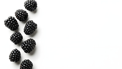 Fresh Blackberries Isolated With Copy Space