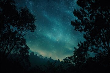 A dark night sky filled with stars, viewed through trees on a hillside