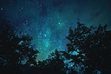 A dark night sky filled with countless stars, seen through silhouetted tree tops