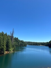 Fototapeta premium lake and forest