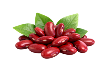 Red Kidney Beans with Green Leaves Isolated on White