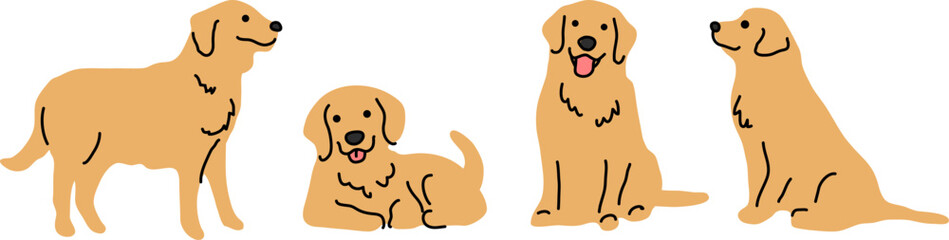 ゴールデンレトリバーのかわいいイラスト。（Cute illustration of a golden retriever.）

