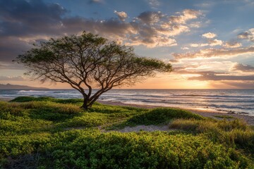 Obraz premium Tree stands on grassy shore, watching waves crash as sun sets, sky ablaze