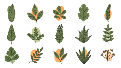 Fototapeta premium A collection of various green and orange leaves arranged in rows on a white background.