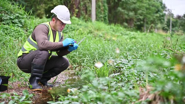 An environmentalist is checking the aquatic life in a small stream to monitor the ecosystem.