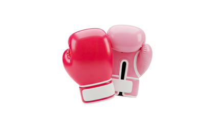 Pair of Pink Boxing Gloves