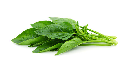 Close-Up of Fresh Vibrant Green Spinach Leaves with Dew Drops on Clean White Background