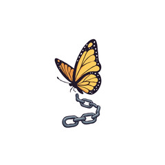 design color icon 1_00298-72239596