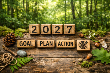 A wooden log in the forest with blocks spelling out 2027 goal plan action