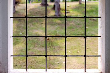 Mesh metal in white window concrete wall  on green garden background