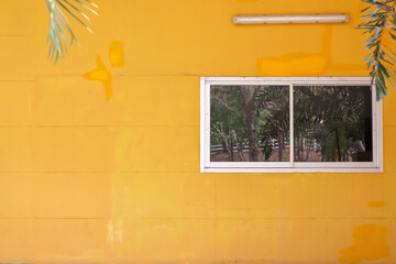 Old yellow wall and glass window background with shadow of plam  tree in garden