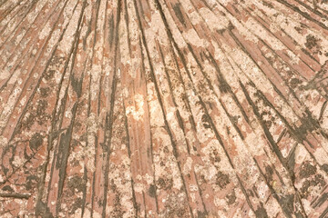 Old brown cement floor line background